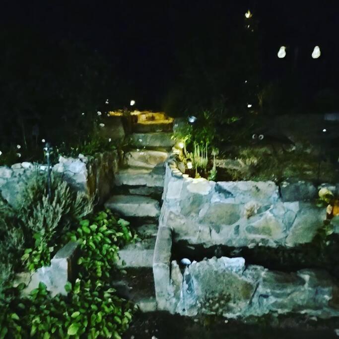 O'Brien'S Oasis Villa Miramonte Екстериор снимка
